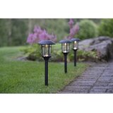 Star Trading Komplet 3 sončnih vrtnih luči LED Fride, višina 34 cm | Shoptok.si