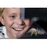 4m holografski projektor 00-03394 | Shoptok.si