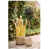 House Nordic Košare u setu 2 kom od ratana ø 39x35 cm Moro – | shoptok.hr
