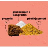 Hedera Bee Flexi, za agilnost i pokretljivost zglobova, 60 kapsula | shoptok.hr