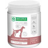 Nature's Protection Suplementi za pse Healthy Growth Formula, 250g Cene