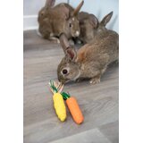 Trixie Igrača za male živali Straw korenje, koruza 15 cm 2 kos | Shoptok.si