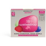 waterdrop Microlyte Berry Cene
