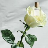Loewe Miniature Set darilni set uniseks | Shoptok.si