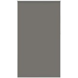 vidaXL Rolo zavjesa Blackout siva 125x210 cm Širina tkanine 121,6 cm | shoptok.hr