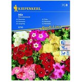 KIEPENKERL Cvetlična semena Plamenka Mix (Phlox drummondii, Različne barve) | Shoptok.si