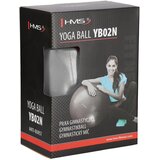  Yb02n 75cm siva lopta za teretanu hms | shoptok.hr