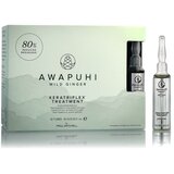 Paul Mitchell Awapuhi Wild Ginger Keratriplex Tretman 10 x 10 ml Cijene