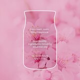 Yankee Candle Enchanting Cherry Blossom mirisna svijeća 368 g | shoptok.hr