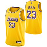 Nike lebron james 23 los angeles lakers icon edition swingman otroški dres cene