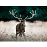 Styler Slika 85x113 cm Deer - Styler