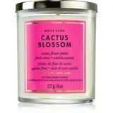 Cactus Blossom dišeča sveča 227 g