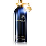 Montale Blue Amber parfumska voda uniseks 100 ml Cene