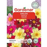 Gardener Dalija niska, mešavina | Eponuda.com