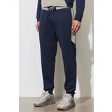 ALTINYILDIZ CLASSICS Men's Navy Blue Standard Fit Regular Cut Sweatpants. Cene