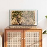  Terarij s pohranom *Transparent*an 60 x 40 x 40 cm Stakl | shoptok.hr