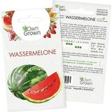  Seme "Lubenica" | Shoptok.si