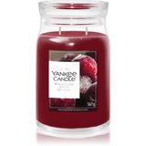 Yankee Candle Woodland Spice dišeča sveča 567 g | Shoptok.si
