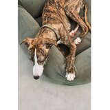 MiaCara Kadulja zeleni krevet za pse 91x71 cm Comodo Sage M – | shoptok.hr