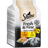  Varčno pakiranje Sheba Fresh & Fine vrečke 72 x 50 g - Puran & piščanec v želeju | shoptok.hr