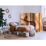  Paravan - Worn Figures - Shapes in Lime Wash Technique in Warm Colors 225x172 | shoptok.hr