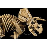Lego 77985 Dinozavrski fosili: Triceratop | Shoptok.si