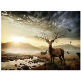  Tapeta - Deers by mountain stream 350x270 | shoptok.hr