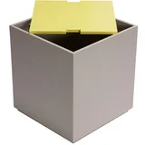 Rumena/siva skrinja iz masivnega jesena 40x45 cm Vault –