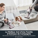 Usisavač Metla Eureka AK10 Pro 450 W | shoptok.hr