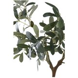 House Nordic Umetna oljka (višina 61 cm) – | Shoptok.si