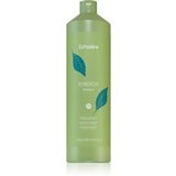EchosLine Energy Shampoo šampon za šibke lase 1000 ml Cene