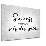  Motivaciona slika na platnu About success_008 (moderne slike) Cijene