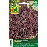 BIO solata Lollo Rossa | Shoptok.si