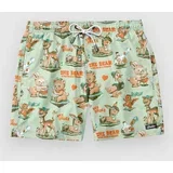 Wasted Dudes Boardshorts pistachio