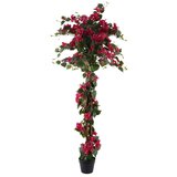 Signes Grimalt Umetne rastline Rastlina Bougainvillea Rdeča | Shoptok.si