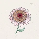 Zinnia elegans "Zinderella Lilac" (cinija)