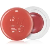 Lip&Cheek Blurry Pudding Pot balzam za toniranje usana i obraza nijansa RS05 Film (Faded Moment) 5 g