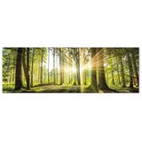  Slika - Daylight 135x45 Standard | shoptok.hr