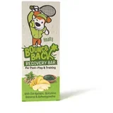 Healthy Bars Recovery poslastica za pse 38 g