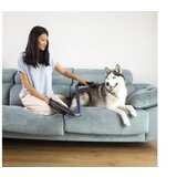 Cecotec SCOBA 2100 TWICE SESALNIK | Shoptok.si