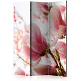 Artgeist PARAVAN 135/172/3 cm bela, pink Slike