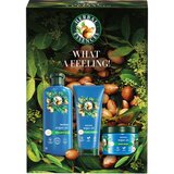 Herbal essences Argan Oil Repair Gift Set darilni set za poškodovane lase Cene