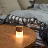 Gingko prenosna namizna svetilka iz jesenovega lesa Lemelia | shoptok.hr
