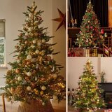  Novogodišnja jelka Grandis Fir 180cm 68.1451 | Eponuda.com