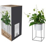  CVIJEĆE PVC U SAKSIJI 14*44CM Cijene