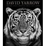 Marston David Yarrow, Tom Brady - David Yarrow Photography: Americas, Africa, Antarctica, Arctic, Asia, Europe | Eponuda.com