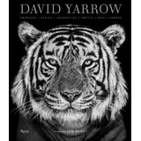 David Yarrow, Tom Brady - David Yarrow Photography: Americas, Africa, Antarctica, Arctic, Asia, Europe