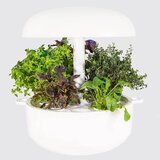 PLANTUI Pametni vrt 6 Smart Garden (SG6-W) | Shoptok.si