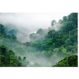  Samoljepljiva foto tapeta - Morning Fog 294x210 | shoptok.hr