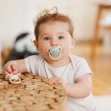 BabyOno Take Care Anatomical Silicone Soothers duda Day & Night 6-18m 2 kos | Shoptok.si